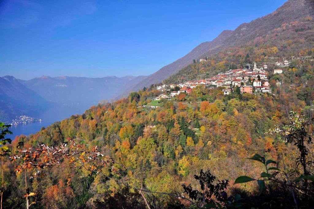 B&B Aquarelle Faggeto Lario Esterno foto