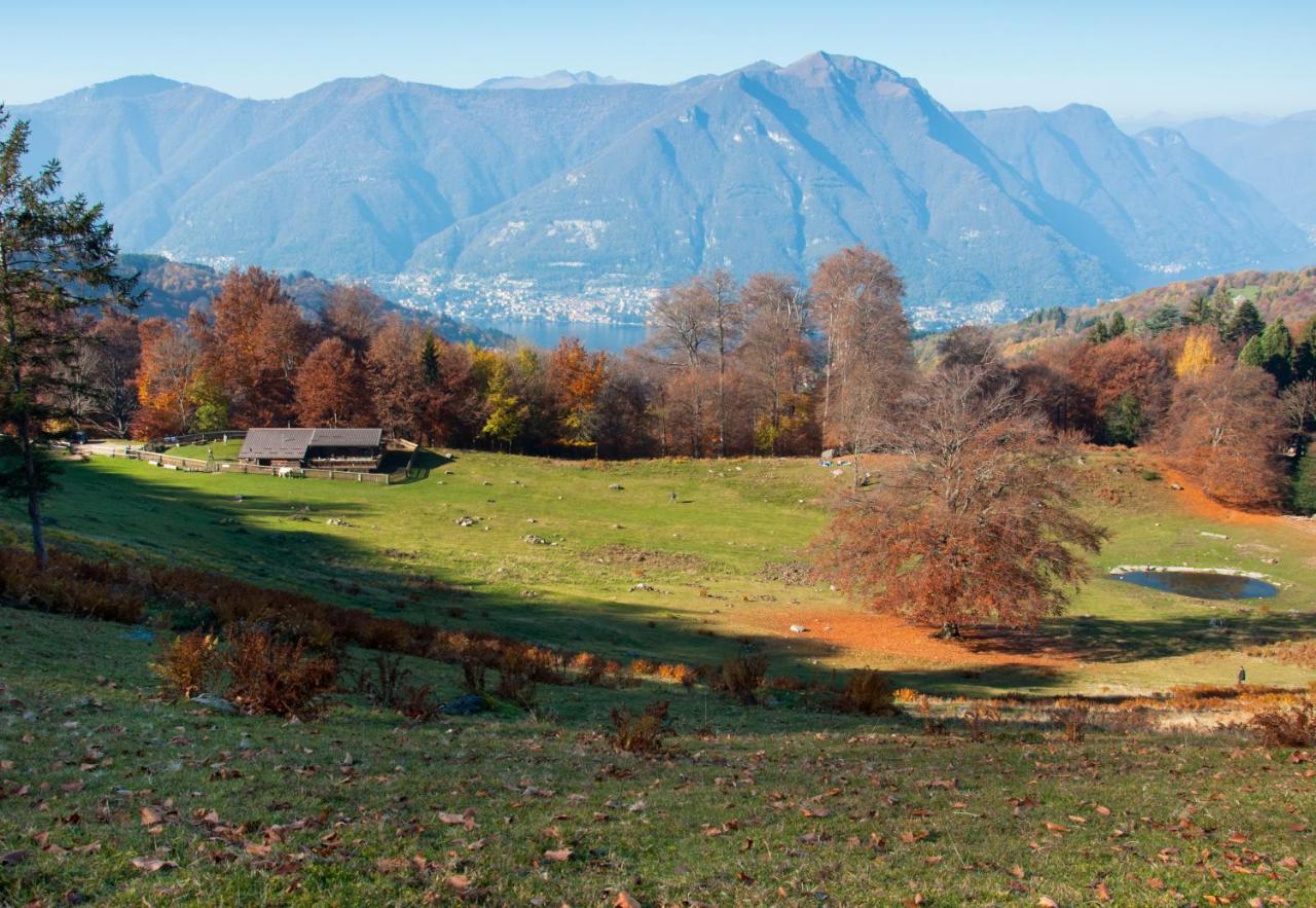 B&B Aquarelle Faggeto Lario Esterno foto